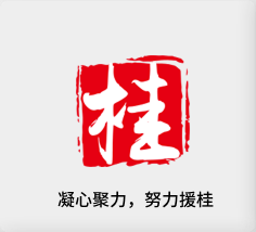 聚焦产业，努力援桂